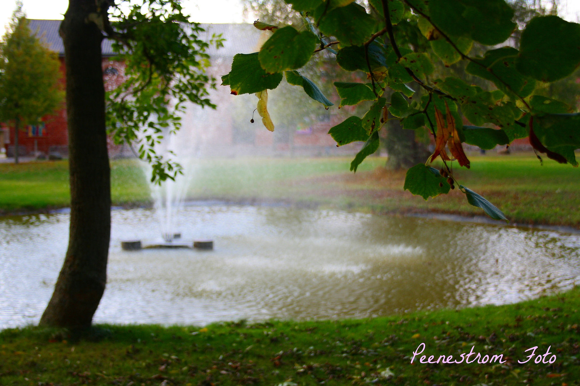 Springbrunnen1 bearbeitet