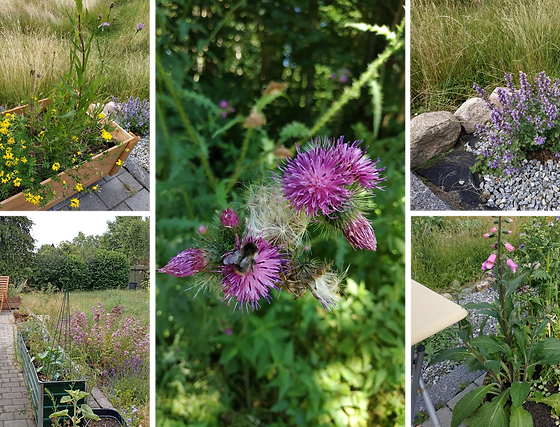 naturalgarden.png