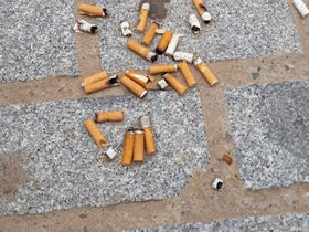 Zigarro mutxikinak / Colillas de cigarro