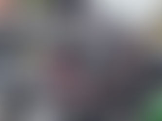 Hiriak ikertzen / investigando las ciudades