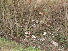 Zabor garbiketa / limpieza de basura