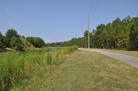 Original Site Path