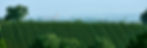 pays-armagnac-bandeau-01.jpg