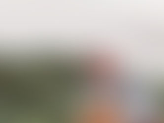 Modelo Daiana Del Puppo faz sucesso na web e vira sensação no 'Mundo Fitness'