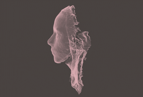 3D Head GIF by erica shires.gif