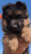 Screenshot_20230514-113604