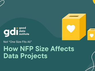 Not “One Size Fits All”: How NFP Size Affects Data Projects