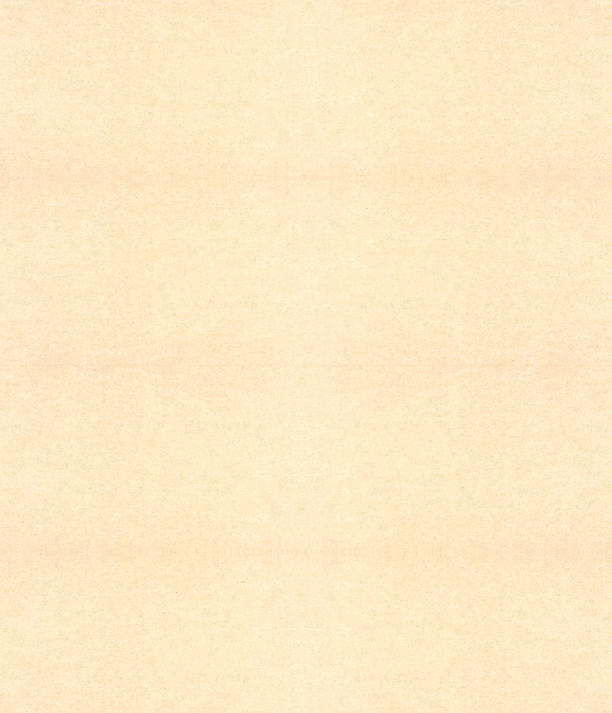 Kopie von Papier Background_edited.jpg