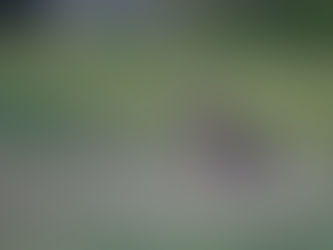 Photo primée au concours photographique de Saint-quentin-en-yvelines 2020 : première de sa catégorie