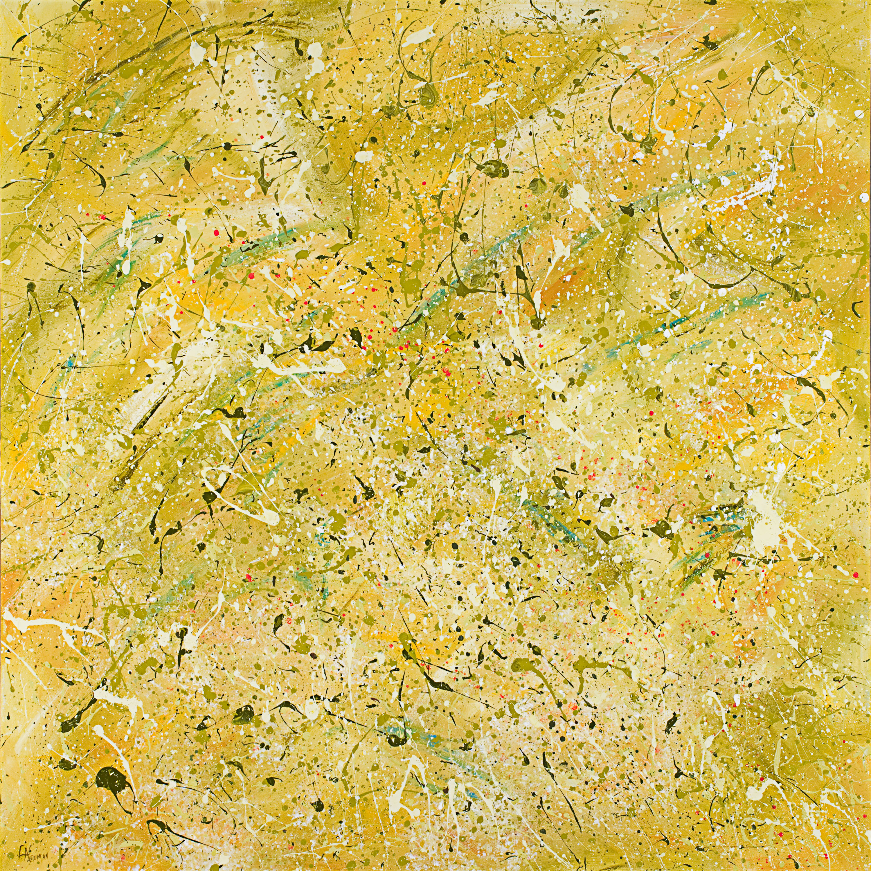 Spring  giclee' on canvas