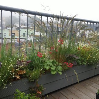 Roof terrace - Brighton