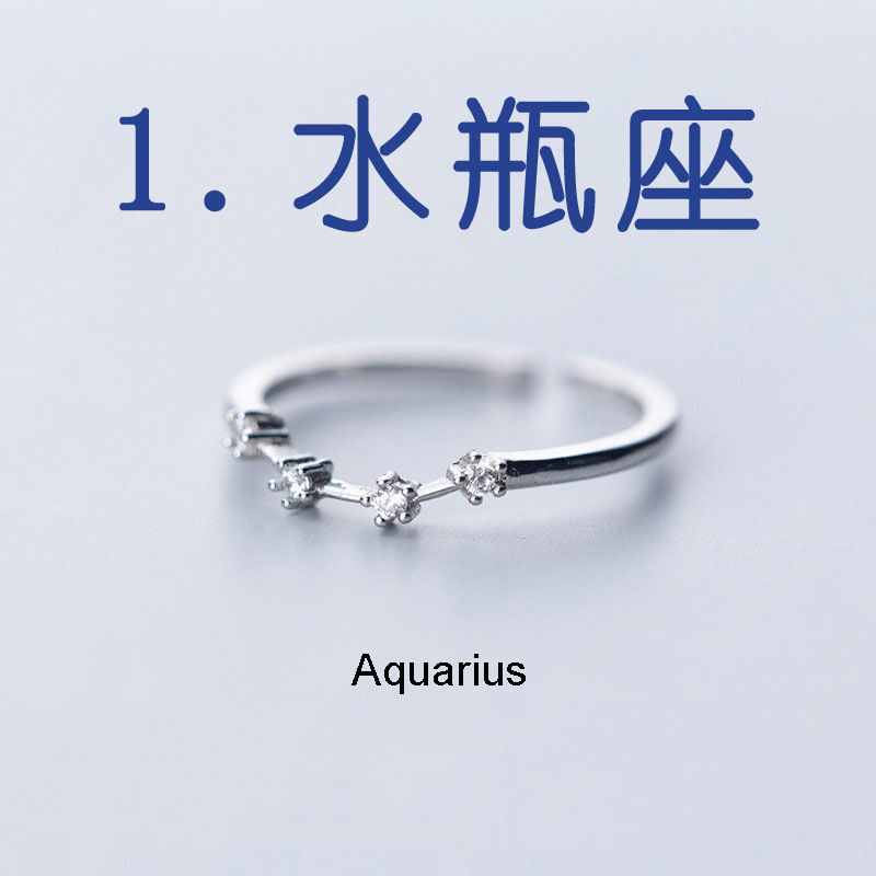 Silver Plated Adjustable Zodiac Rings for Women