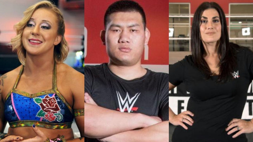 Abbey Laith and other NXT releases