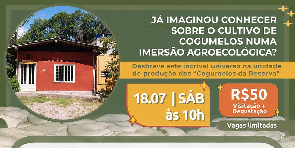 Visitação Guiada na Produção Cogumelos da Reserva