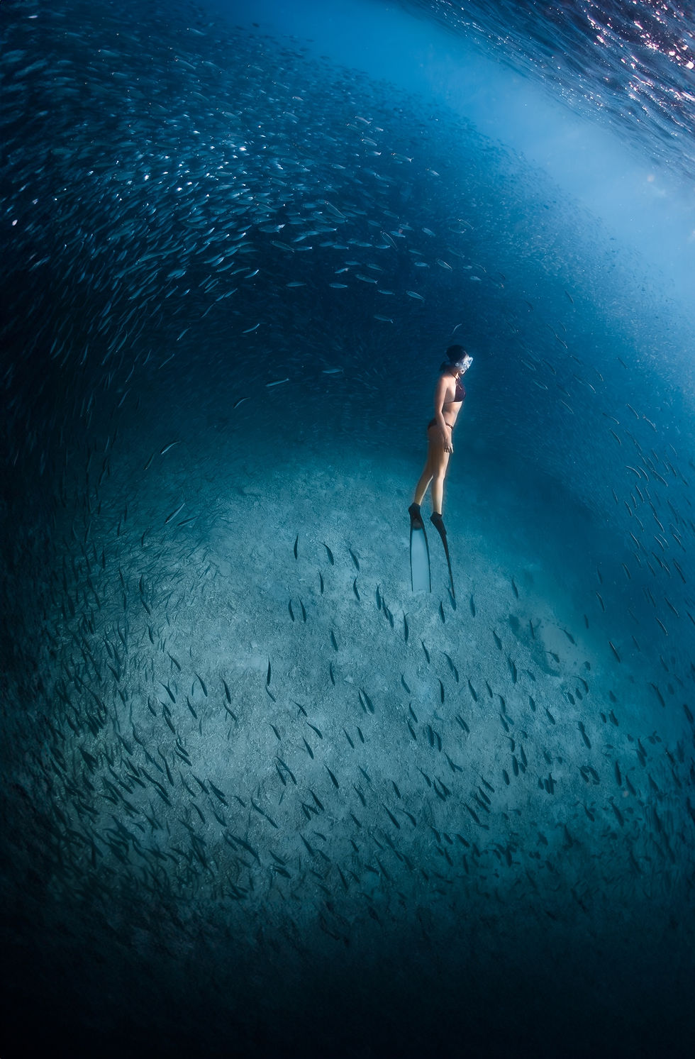 日本沖繩潛水及水下攝影Okinawa diving Photogrpahy VISOUL