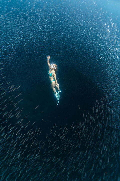 日本沖繩潛水及水下攝影Okinawa diving & Underwater Photography