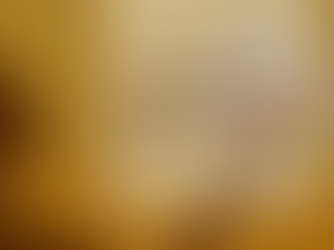 How to Navigate the Holographic Universe