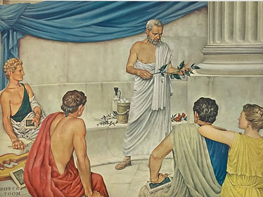 Illustrazione serra di Ward in una casa