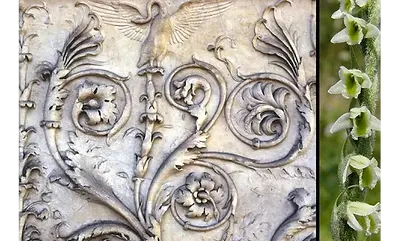 Tre tipologie di serre in un illustrazione
