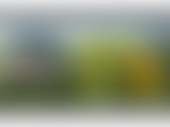 Stickstoffnachlieferung der Zwischenfrucht: Welche Faktoren sind entscheidend?