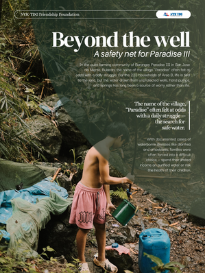 A safety net for Paradise III