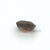 Thumbnail: Brown zircon 2,64 ct. Cushion cut. video.