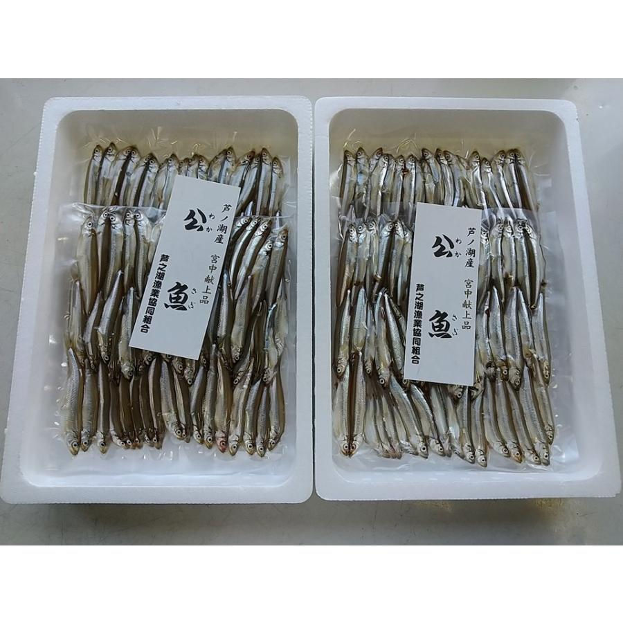 ふるさと納税返礼品追加のお知らせ