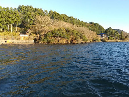 期間限定禁漁区解除のお知らせ