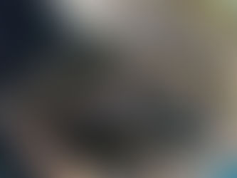 放流　レインボートラウト　特大　平均4,500g　800kg