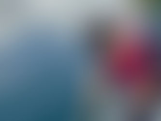 オオクチバスの放流を実施しました。