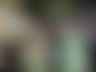 魚供養 水恩感謝祭 2021