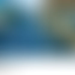 Cars in traffic SPOTTER