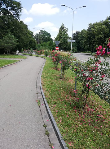 70347852_703281610139275_629001682947355