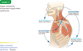 Chronic Shoulder Pain - The Solution!