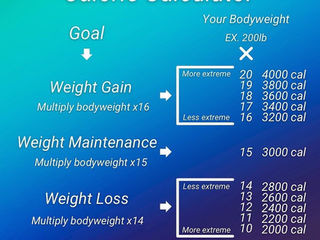 Calorie Calculator Cheat Sheet