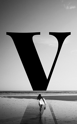 V_Web.png