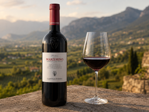 Wine Pairing: Trentino Marzemino DOC