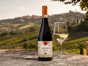 Wine Pairing: Romagna Albana DOCG