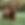 315235047_693114122287841_5686071091079763556_n.png