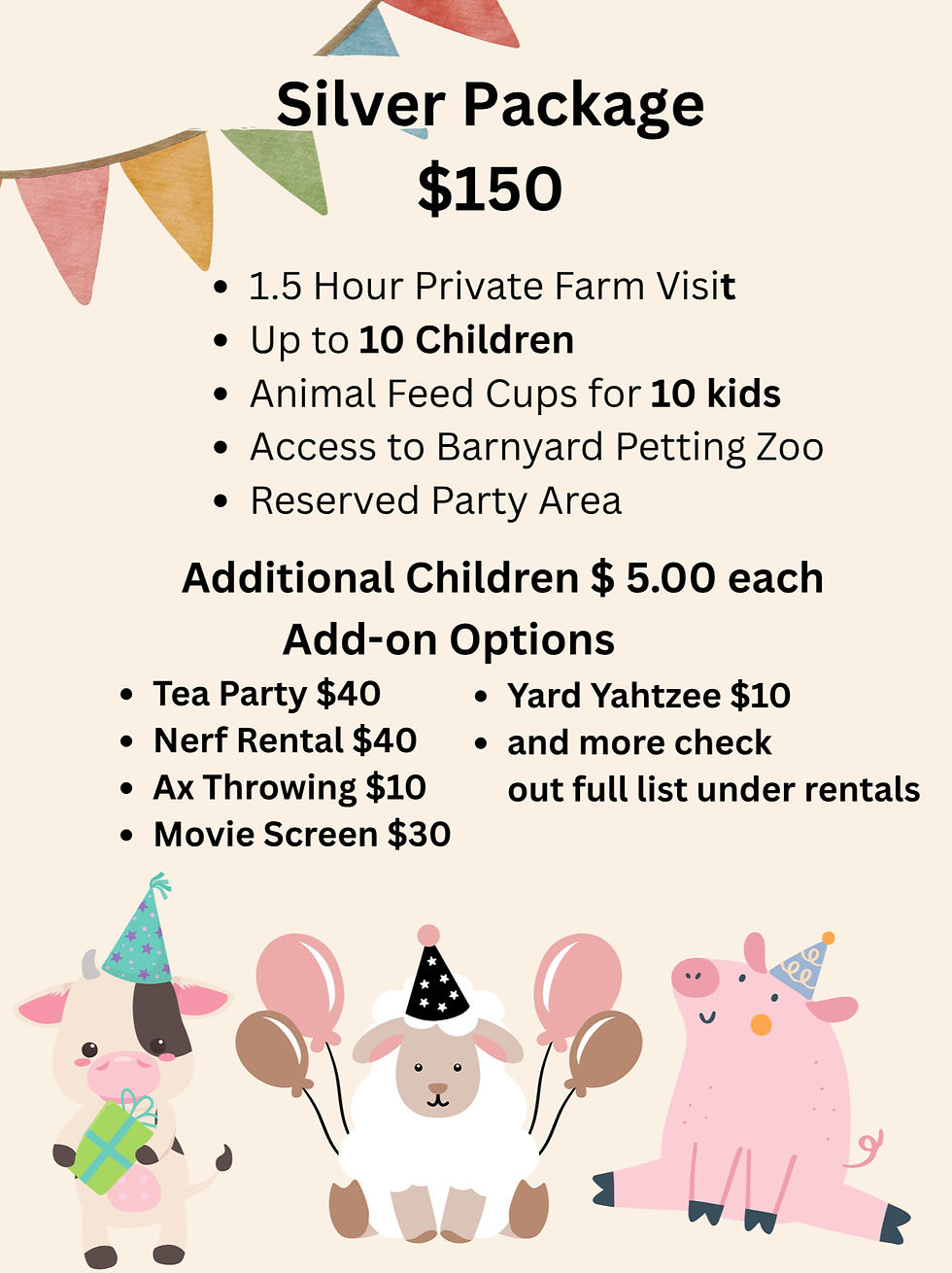 Birthday Party Silver Package!
