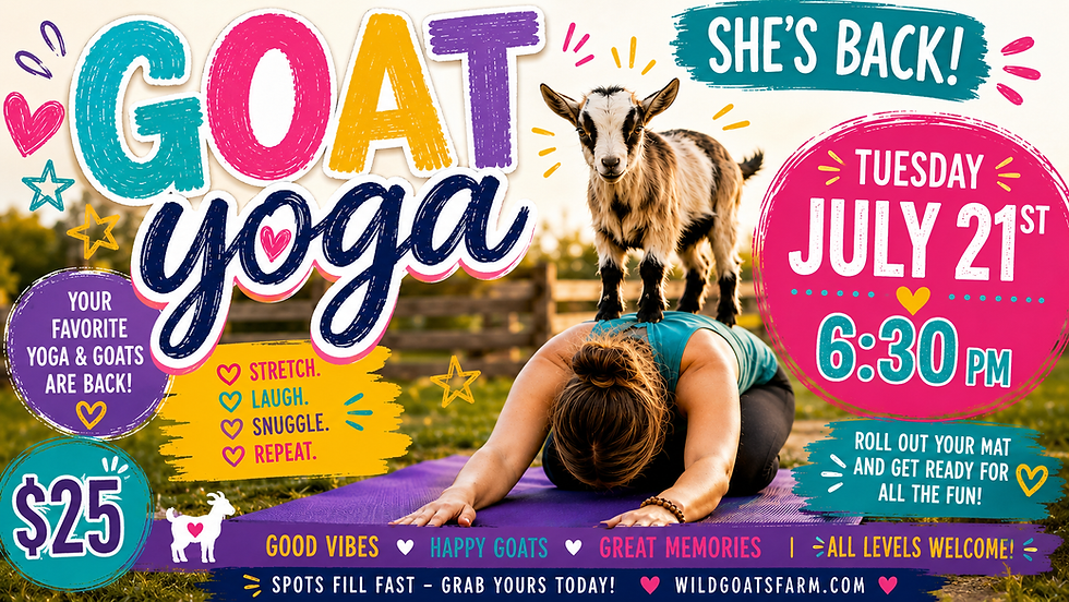 Goat Yoga