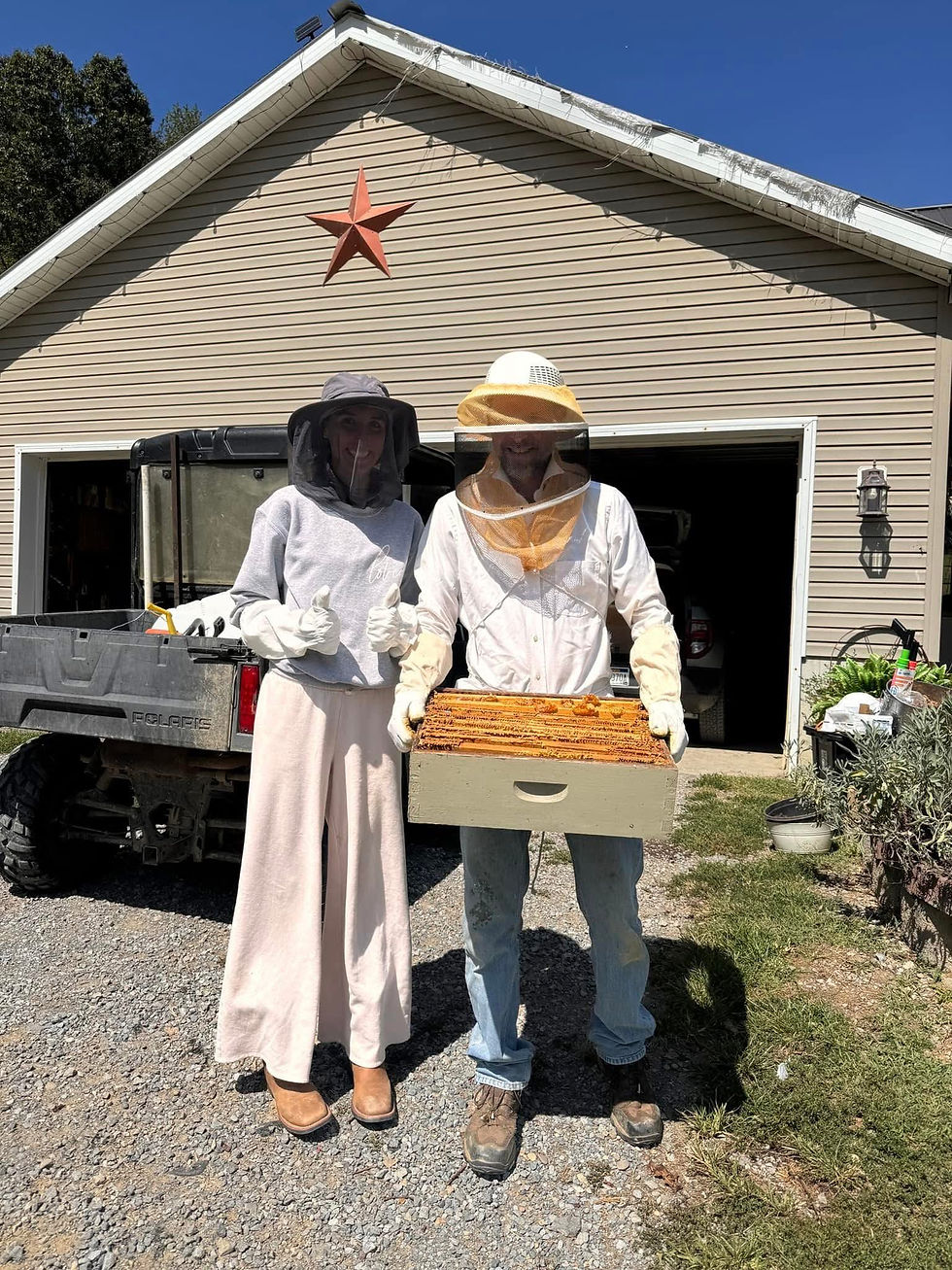 Bee Keeping