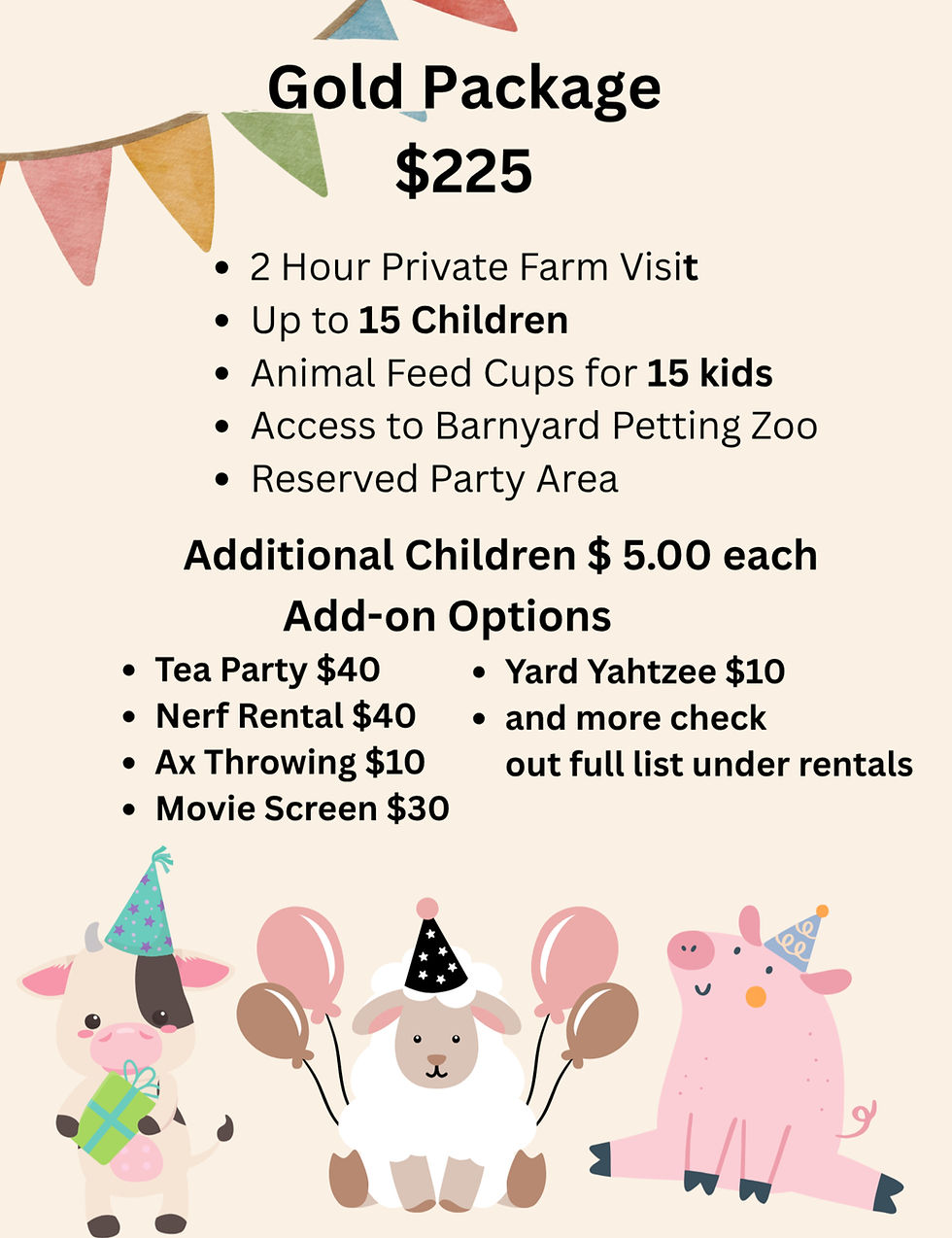 Birthday Party Gold Package!