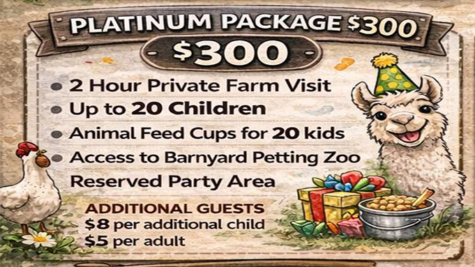 Birthday Party Platinum Package!