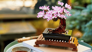 LEGO Botanicals 10373 Mini Bonsai Trees Rumoured For August 2025