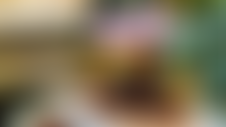 LEGO Botanicals 10373 Mini Bonsai Trees Rumoured For August 2025