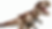 LEGO Creator 3in1 31151 Terrifying T-Rex Rumoured For June 2024