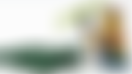 LEGO City 60425 Jungle Explorer Water Plane Rumoured For June 2024