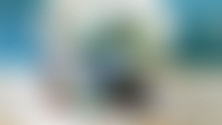 LEGO Disney 100 43225 The Little Mermaid Royal Clamshell Officially Revealed | May 2023