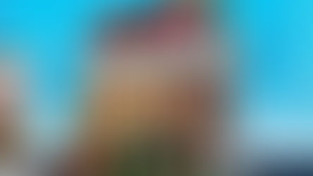 First Leaked Images of LEGO Icons 10350 Tudor Corner Modular Building | January 2025